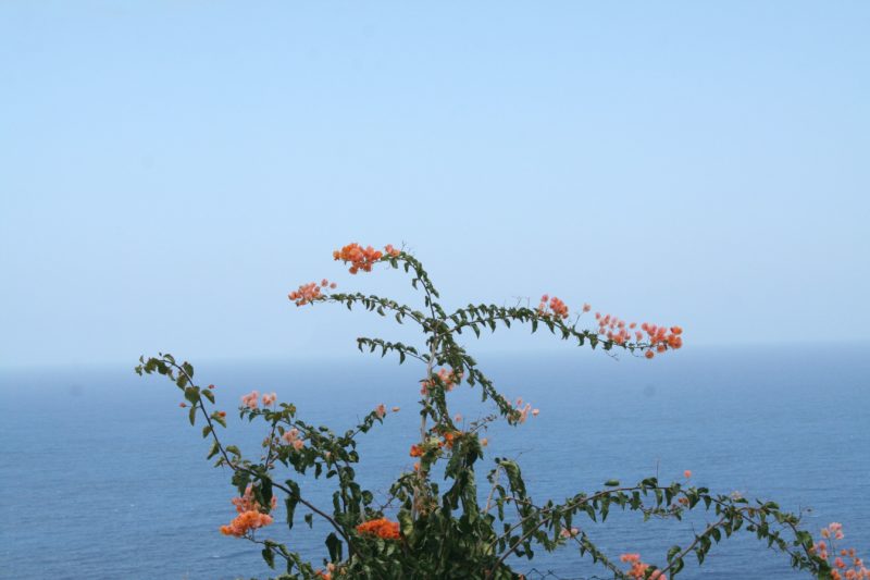La Gomera ou l’île où les hommes parlent comme des oiseaux